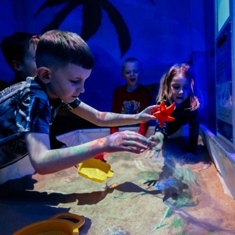 interactive sandpit at play valley dinnington